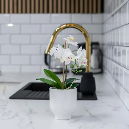 Apartment Modern Center By Renters *