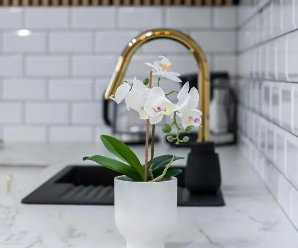 דירה Modern Center By Renters *